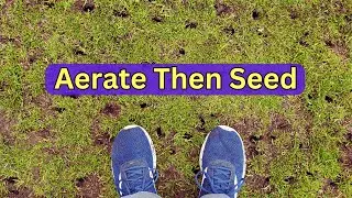 Do You Have To Aerate To Put Grass Seed Down