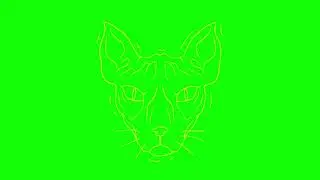 GREEN SCREEN CATS FREE FOR VIDEOS 107 - Green Screen Effects