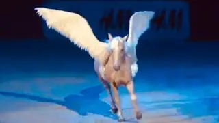STOCKHOLM HORSE SHOW 2011 - FLYING HORSE