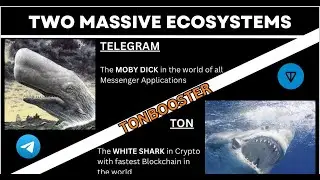 TON BOOSTER TRAINING CALL - 03.02.24