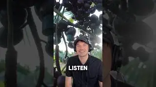 These Flies Sound Like Race Cars! 