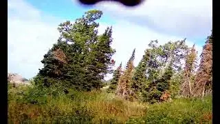 Dusky Double - Shotkam