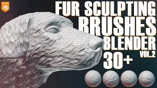 Fur Sculpting Blender Brushes. Sculpting fur in Blender
