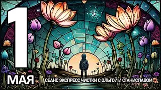1мая | Экспресс чистка