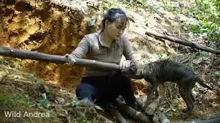 Building underground bushcraft shelter. Survival with my dog ​​in the wild. Camp despite heavy rain