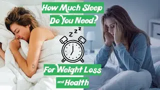 How Much Sleep Do You Need And When Should You Sleep?
