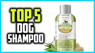 ✅Top 5 Best Dog Shampoo of 2024