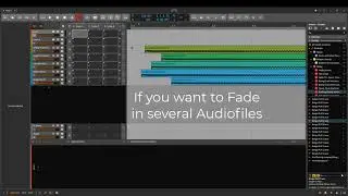 Bitwig Mini Series - Multiple Fades