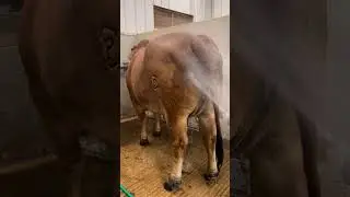 #Trending