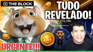 EQUIPE HAMSTER KOMBAT FINALMENTE REVELA NOVIDADES SOBRE O PROJETO
