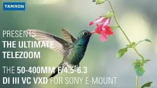 Tamron 50-400mm F/4.5-6.3 Di III VC VXD - The Ultimate telezoom for the Sony E-Mount