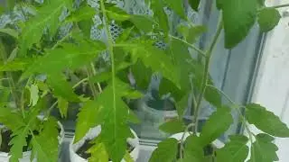 Какая я молодец!