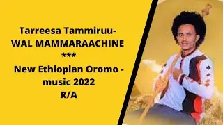Tarreesa Tammiruu- WAL MAMMARAACHINE New  Ethiopian Oromo music 2022 Reaction