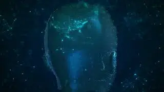 Cyber Security 2021 - 2021 Cyber Security Stock Footage