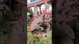 Wisata Bukit Sekipan Tawangmangu