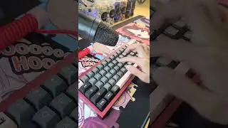 Wuque WS Heavy Tactile Switches - Thocky! 