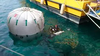 Akdeniz’e Nefes: Kaş-Kekova Deniz Çayırları Koruma Projesi