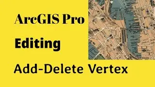 ArcGIS Pro - Editing : Add - Delete Vertex