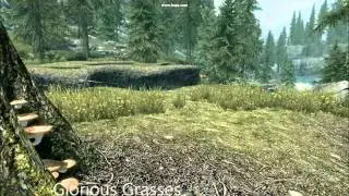 Skyrim Mod: Glorious Grasses