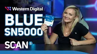 The NVMe SSD for Everyone | WD BLUE SN5000