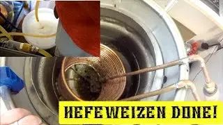 White Elephant Hefe Using WLP300 ~ Full Brew Day