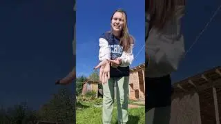 1 сентября 2024 г.