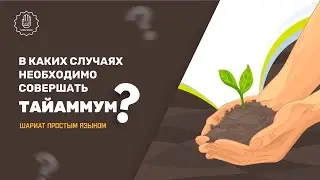 В каких случаях необходимо совершать тайаммум? - Шариат простым языком