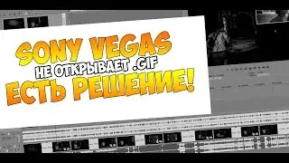 Sony Vegas gif crashing. Answer!