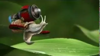 Spontaneous Snail
