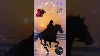 моёхозяйство #music #automobile