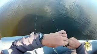 Горево 16 07 22