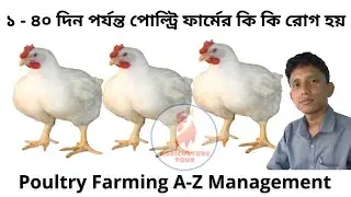 ১ - ৪০ দিন পর্যন্ত পোল্ট্রি ফার্মের কি কি রোগ হয় এবং তার সমাধান | Agriculture Tour