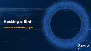 Hacking a Bird