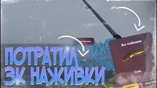 ПОТРАТИЛ 3.000 НАЖИВКИ НА РЫБАЛКЕ?! | Radmir RP / HASSLE ONLINE.