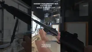 HIDDEN GEMS Mystery box. Classic Army M14 SCOUT