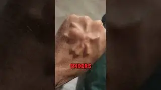 NEVER PANIC If You See This 😲