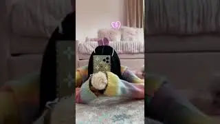 Hottest Bugs Bunny New TikTok Challenge 
