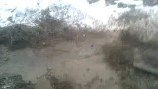 Ока зажарилась