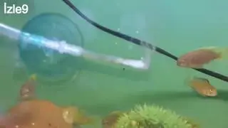 CO2 Difüzör Yapımı - Homemade CO2 diffuser construction