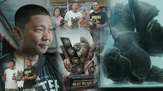FV VLOG #115:  Face-to-Face Goldfish Show in Butuan City | Battle of Caraganon