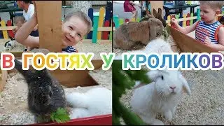 В ГОСТЯХ У КРОЛИКОВ