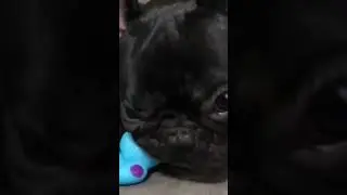 Вкуснааа😋 