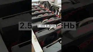 ДОХОД ЗА 13 ФЕВРАЛЯ 837 MH/s 