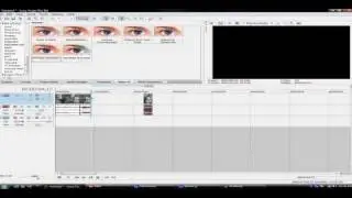 Sony Vegas : How to do 