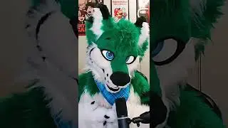 Fursona Hot Takes : Lions and Lynxs