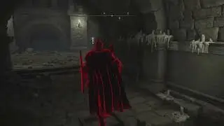 INCREDIBLE THINGS are Happening in Elden Ring Invasions