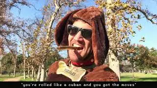 The Dachshund Song
