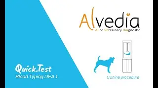 Alvedia | QuickTest Blood Typing (BT) - Canine