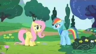 Fluttershy kills Rainbow Dash