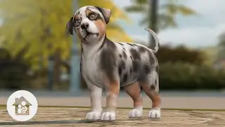 Puppy Quest | Episode 1 | The Sims 4: Growing Up (New Series)